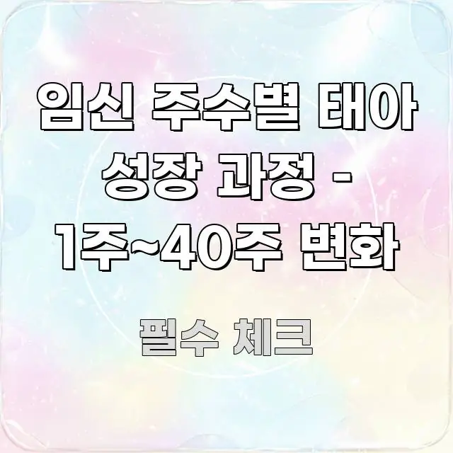 임신 주수별 태아 성장 과정 – 1주~40주 변화 쉽게 따라할 수 있는 타이포그래피 블로그 표지
