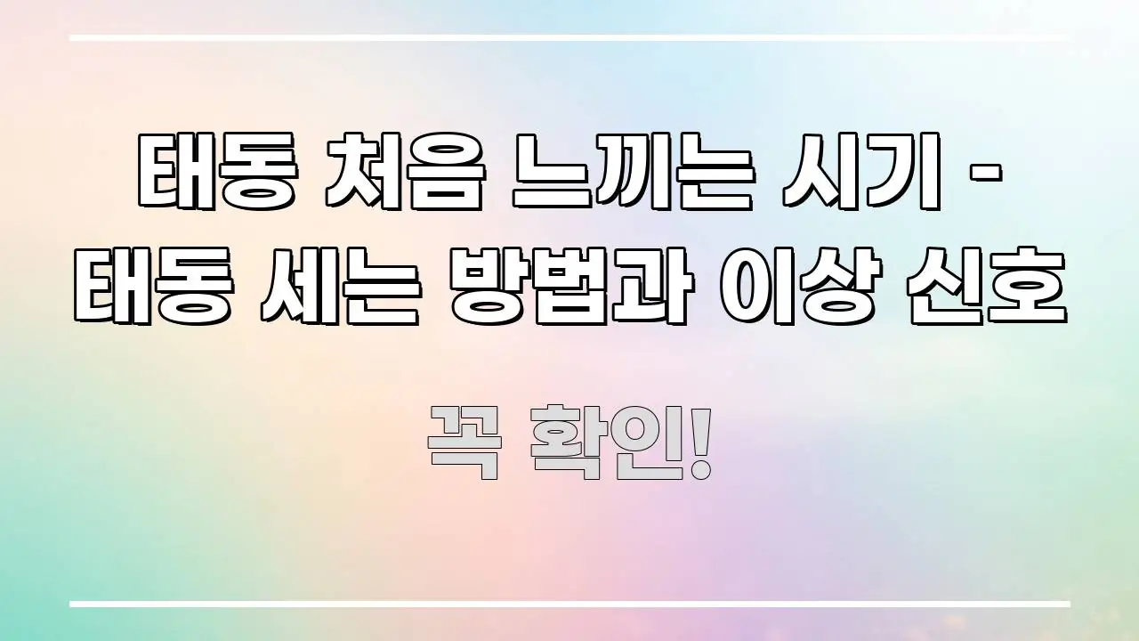 태동 처음 느끼는 시기 – 태동 세는 방법과 이상 신호 명확하게 정리된 핵심 정리 썸네일 이미지 - 설명을 돕는 이미지