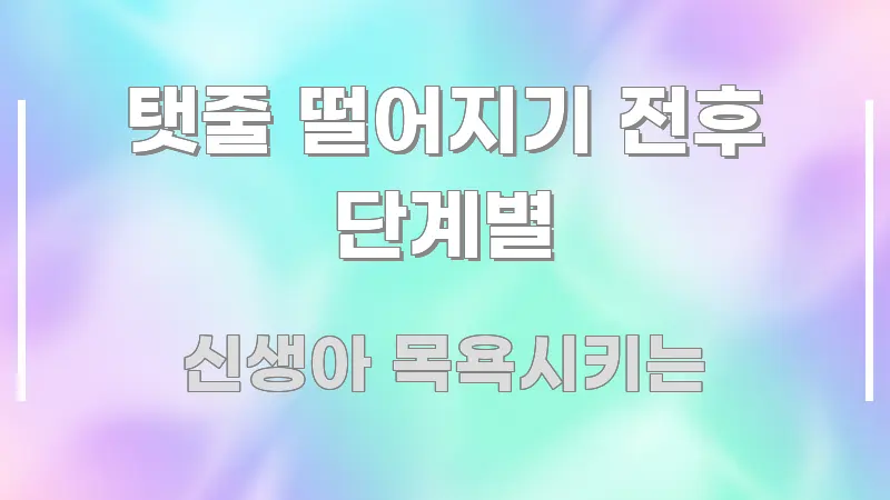 탯줄 떨어지기 전후 단계별 깔끔하게 정리된 타이포그래피 블로그 표지 - 활용 예시 이미지