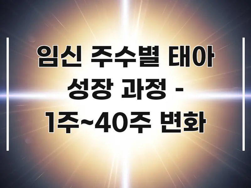임신 주수별 태아 성장 과정 – 1주~40주 변화 바로 활용 가능한 핵심 정리 썸네일 이미지 - 독자 이해를 위한 이미지