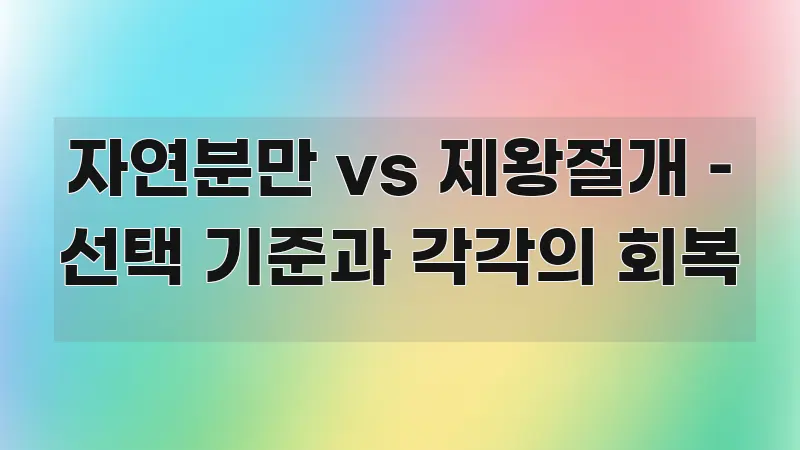 자연분만 vs 제왕절개 – 선택 기준과 각각의 회복 카드뉴스 표지 자연분만 vs 제왕절개 – 선택 기준과 각각의 회복 직관적으로 이해되는 블로그 포스트 커버 이미지