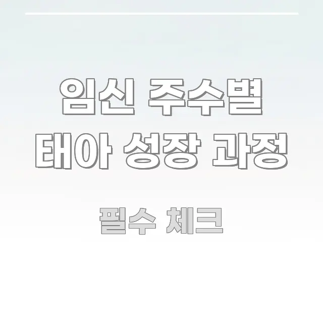 임신 주수별 태아 성장 과정 꼼꼼하게 정리된 핵심 요약 디자인 카드 - 참고용 이미지