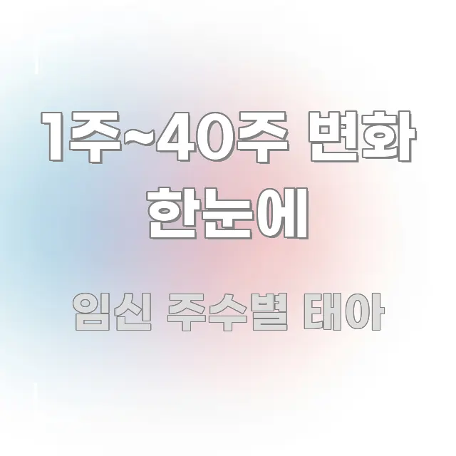 1주~40주 변화 한눈에 빠르게 이해할 수 있는 스마트 정보 카드