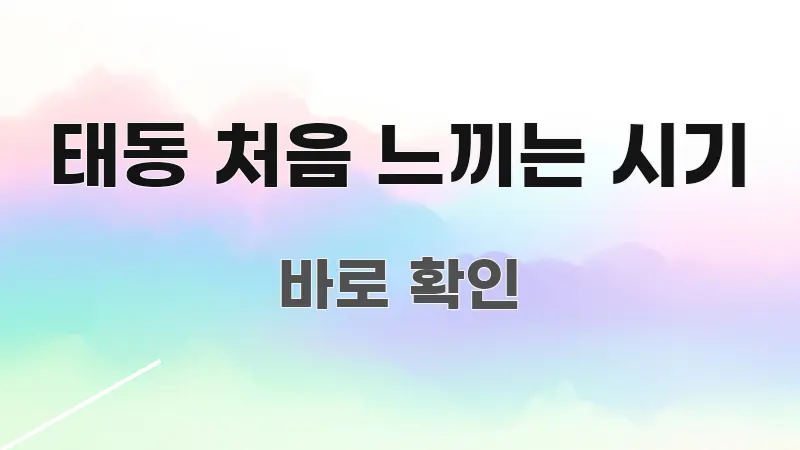 태동 처음 느끼는 시기 정보 이미지 태동 처음 느끼는 시기 핵심만 담은 블로그용 카드뉴스 썸네일 - 참고용 이미지