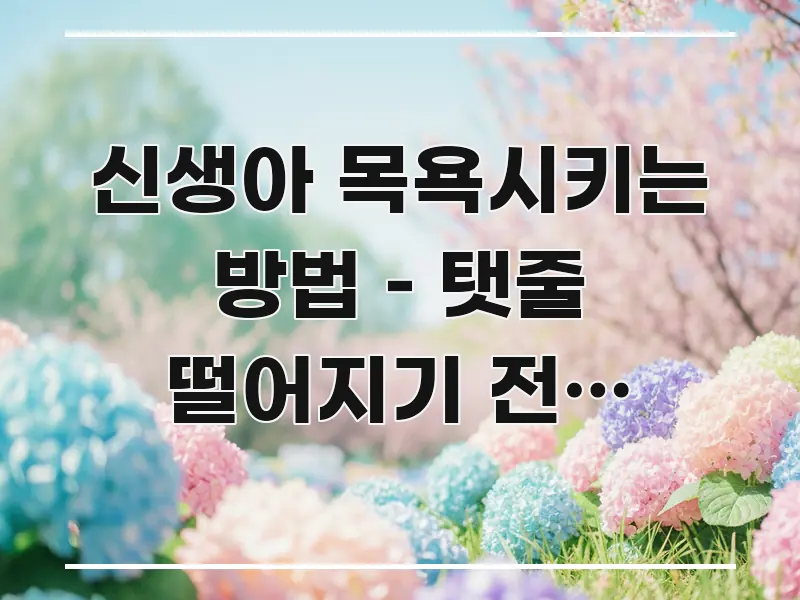 신생아 목욕시키는 방법 – 탯줄 떨어지기 전후 단계별 독자를 위해 선별한 스마트 정보 카드 - 설명을 돕는 이미지