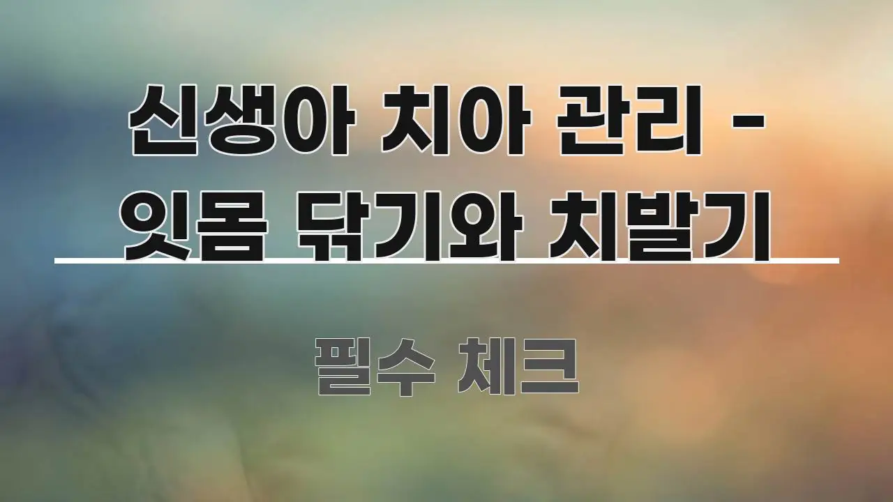 신생아 치아 관리 - 잇몸 닦기와 치발기 심플하고 명확하게 정리한 텍스트 포스터 이미지