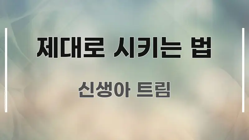 제대로 시키는 법 핵심 요약 제대로 시키는 법 독자를 위해 선별한 정보 정리 카드 이미지 - 가독성을 높이는 이미지