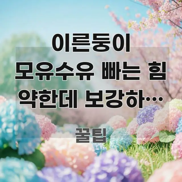 이른둥이 모유수유 빠는 힘 약한데 보강하는 방법이 있다 실용적으로 정리한 읽기 좋은 정보 카드 - 내용 요약을 위한 이미지