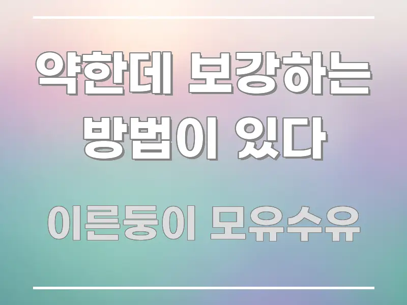 약한데 보강하는 방법이 있다 한 번에 이해되는 깔끔한 인포그래픽 표지 - 참고용 이미지