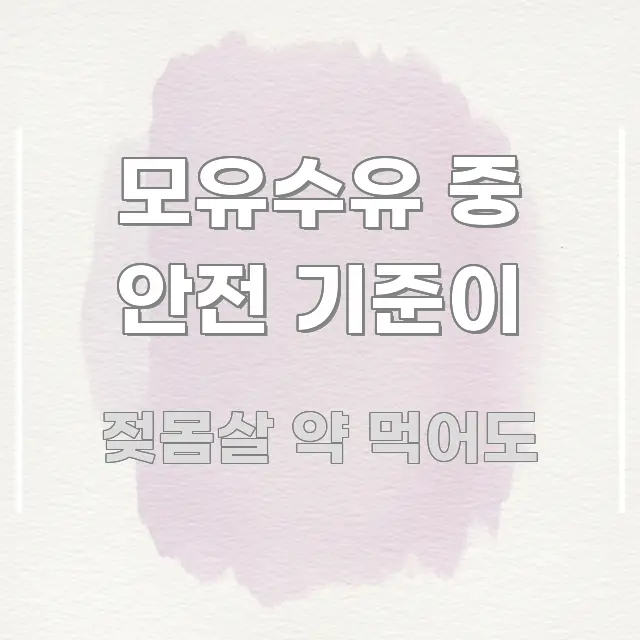 모유수유 중 안전 기준이 핵심 요약 모유수유 중 안전 기준이 핵심 정보 중심의 정보 전달형 표지 이미지 - 활용 예시 이미지