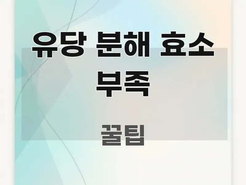 유당 분해 효소 부족 주요 포인트를 요약한 가독성 높은 정보 이미지 - 본문 내용과 연관된 이미지